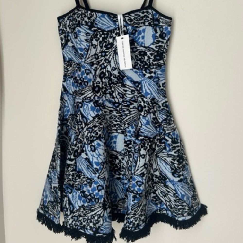 Torn by Ronny Kobo Blue and Black Knit Dress